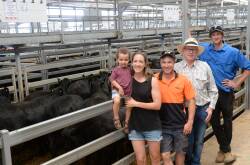 The Willis family, Noah & Liz Wills, cousin Nick, uncle Noel, and Tim Willis, "Pelican Point", Table Top. Willis Mobile Contracting sold Yearling Angus steers, 16 months for $1490, and 13 heifers for $1250.