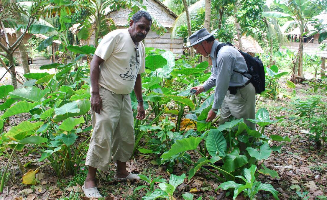 Mr French's work on edible plants began back to the 1970s when he was living in Papua New Guinea. Picture supplied by australianoftheyear.org.au