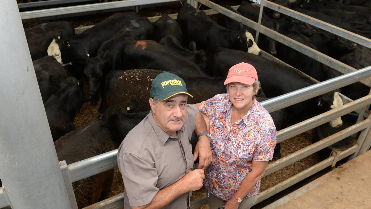 Vendors, Nick and Joy Paola, German Town via Bright, Victoria, sold 10 steers, Witherswood blood, at the Wodonga sale on Thursday. Vendors, Nick and Joy Paola, German Town via Bright, Victoria, sold 10 steers, Witherswood blood, at the Wodonga sale on Thursday.