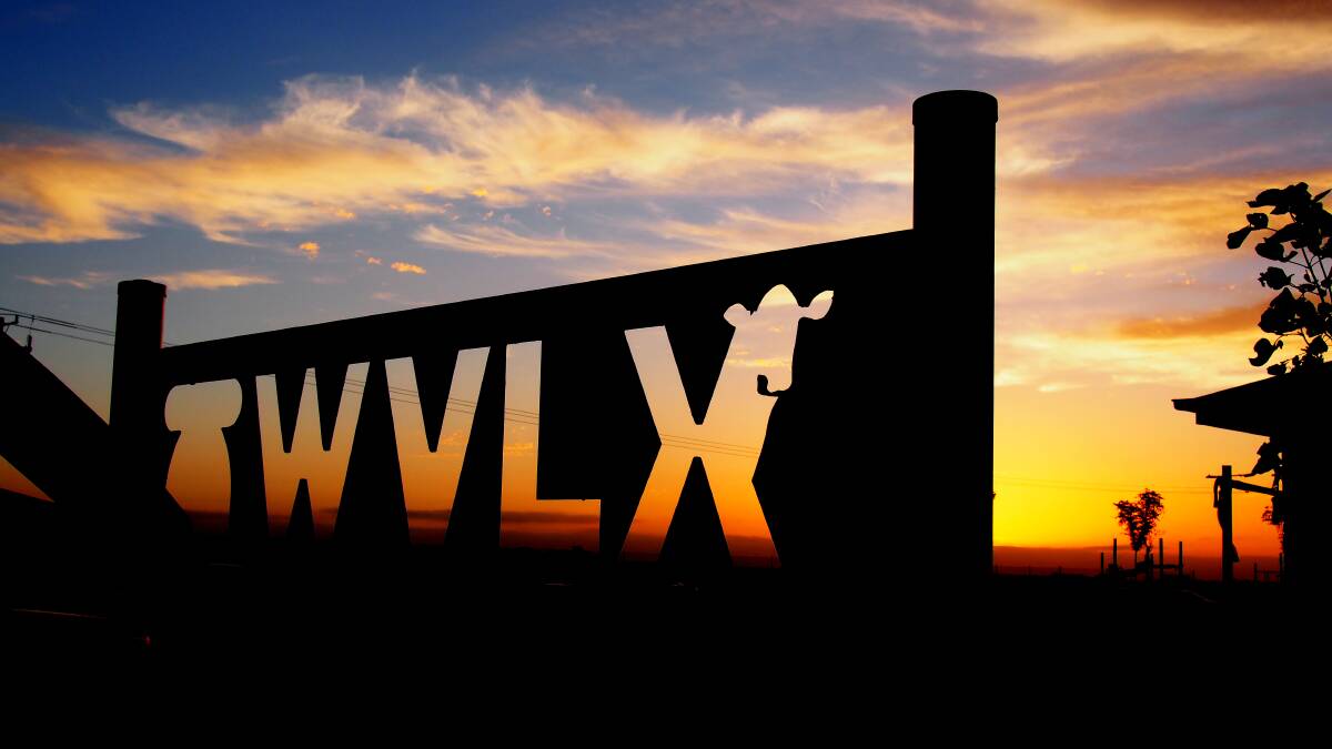 3000 for WVLX weaner feature 3000 for WVLX weaner feature