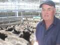 Jim Shaw, Coleraine offered his Winninburn Banquet-blood Angus heifers after selling steers earlier in the week.