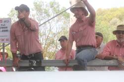 The selling of weaners for the summer selling period is all but completed at Euroa with one final sale ear-marked for January. 