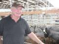 Andrew Mibus, Bridgewater sold his Sandy Camp Hereford and Black baldy heifers.