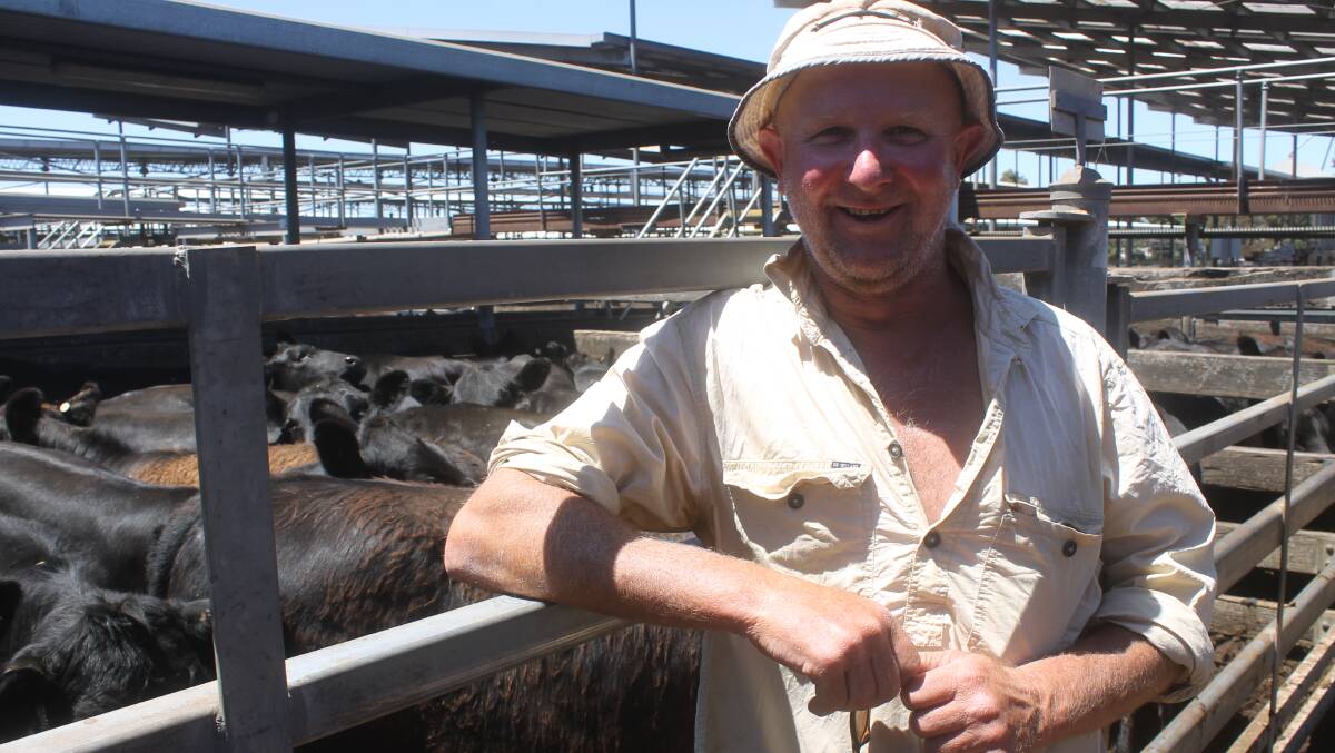 Intense interest: Brett Linke off-loaded his complete-drop of 150 Mount Napier Angus heifers to top Hamilton sales at $1218/head, with one of his neighbors securing the lot as replacement breeders. Intense interest: Brett Linke off-loaded his complete-drop of 150 Mount Napier Angus heifers to top Hamilton sales at $1218/head, with one of his neighbors securing the lot as replacement breeders.