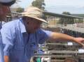 Auctioneer Craig Pertzel adds up the bids on the Day-one Hamilton Angus steer sale